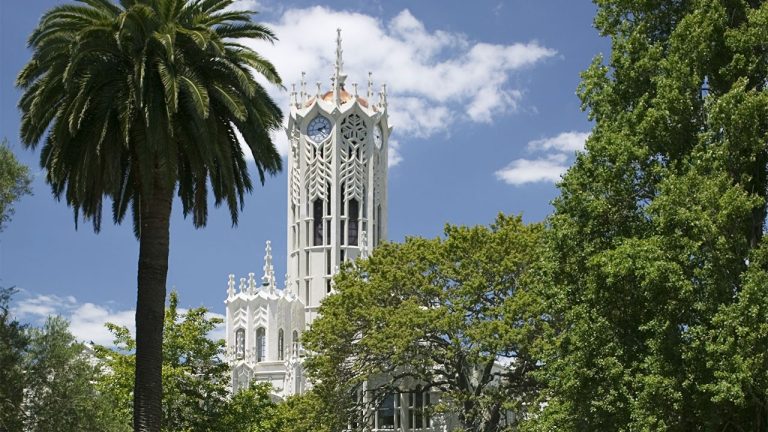Picture of the University of Auckland, with a palm tree in front.